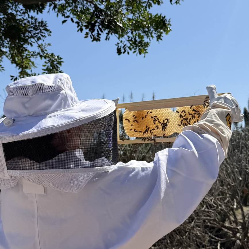 Beekeeping Class